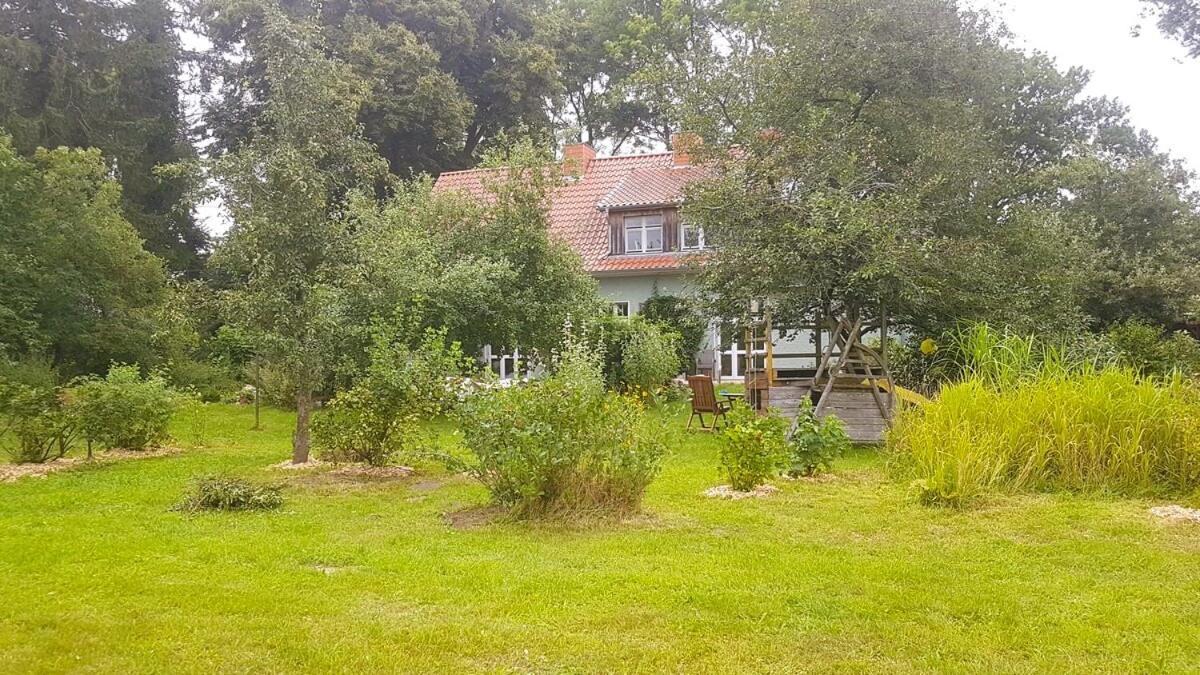 Ferienhaus Salvia Gremersdorf-Buchholz Exterior foto