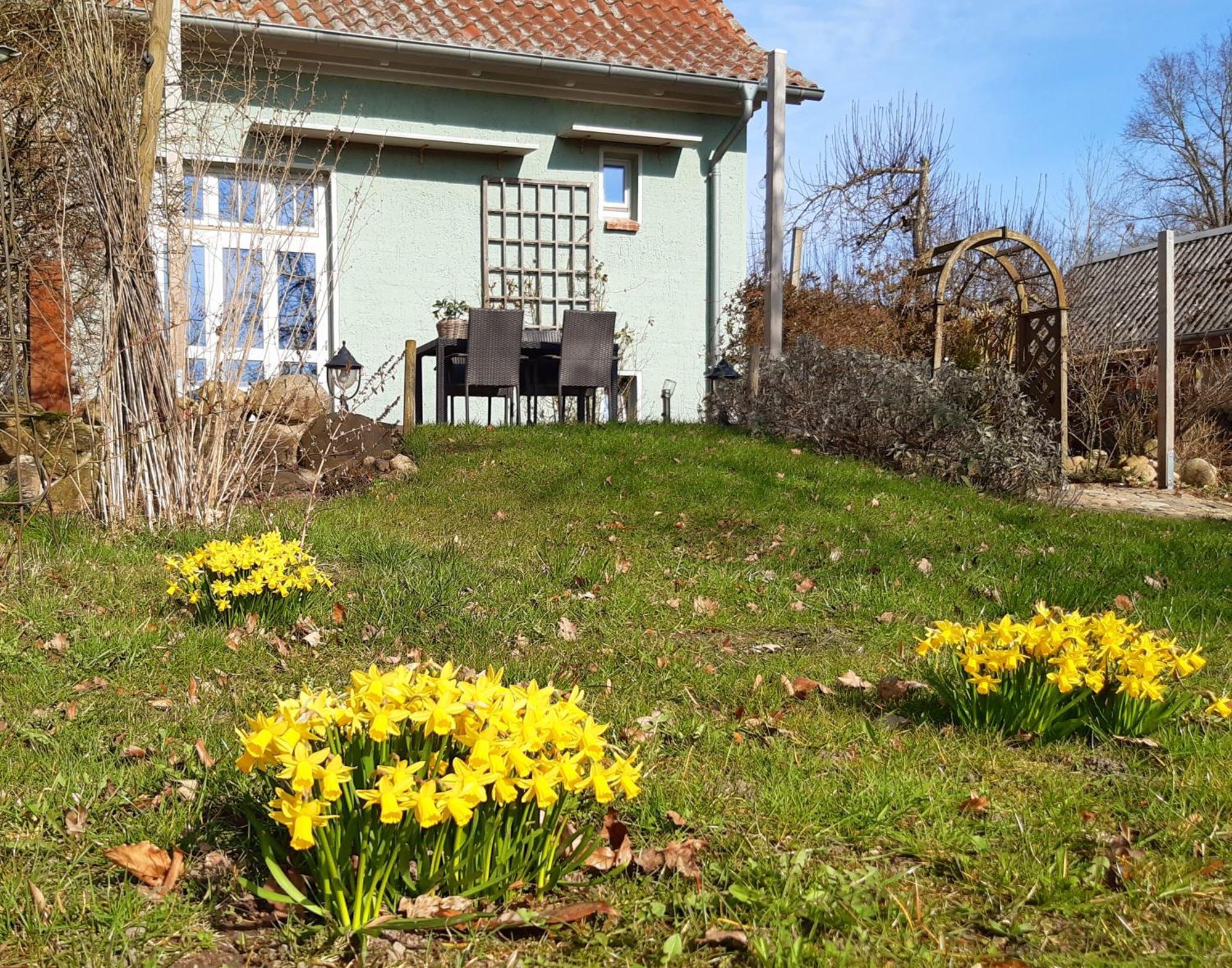 Ferienhaus Salvia Gremersdorf-Buchholz Exterior foto