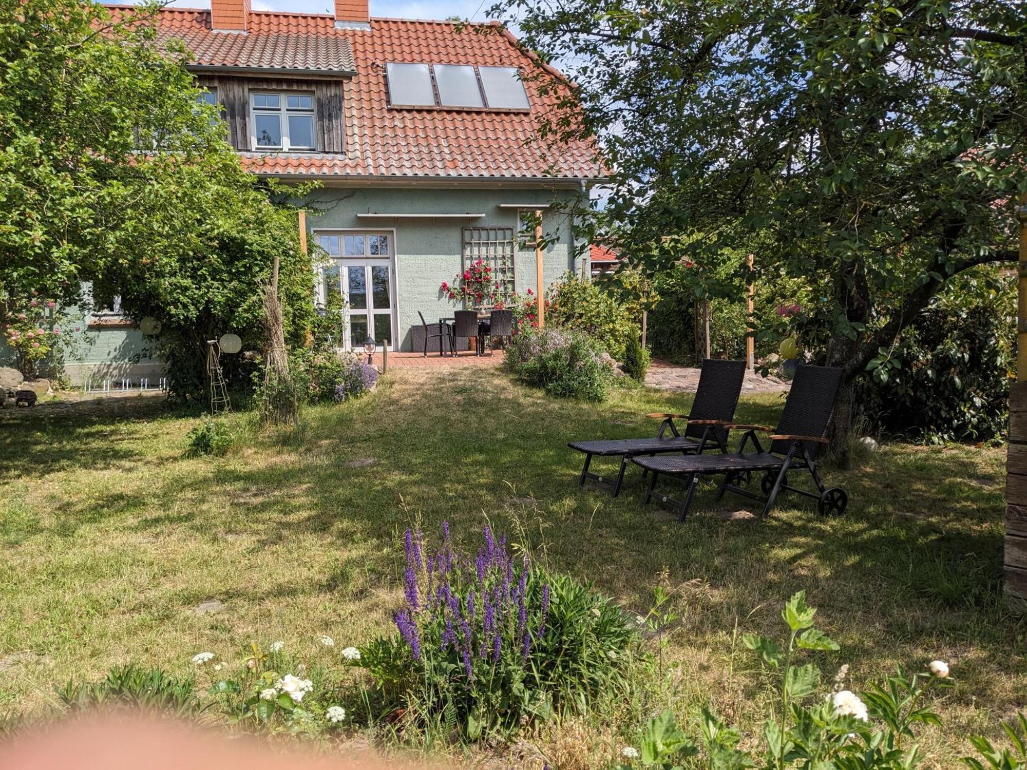 Ferienhaus Salvia Gremersdorf-Buchholz Exterior foto