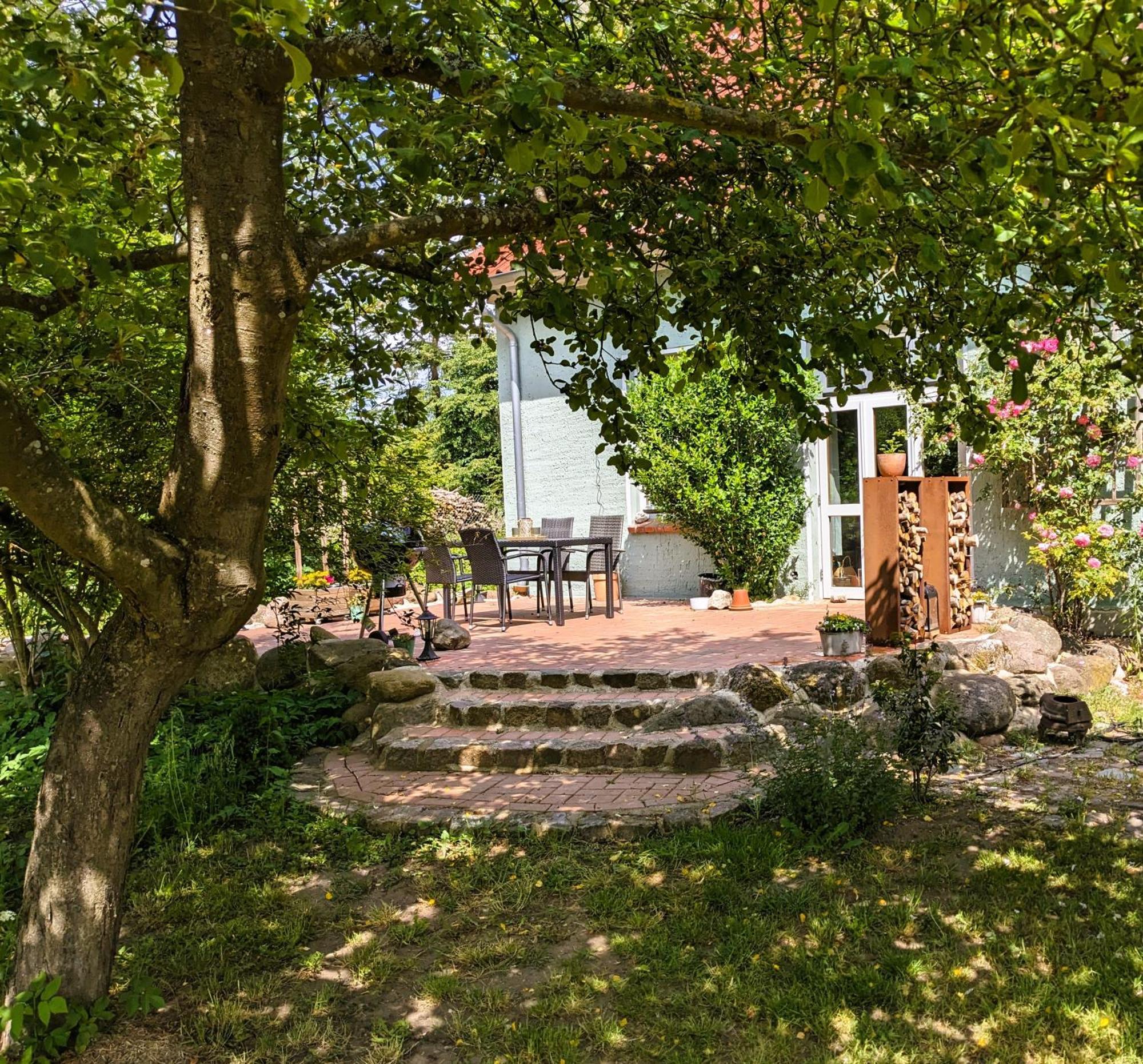 Ferienhaus Salvia Gremersdorf-Buchholz Exterior foto